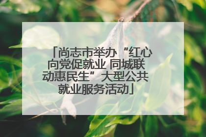 尚志市举办“红心向党促就业 同城联动惠民生”大型公共就业服务活动
