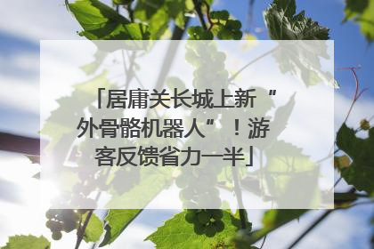 居庸关长城上新“外骨骼机器人”！游客反馈省力一半