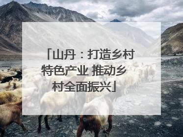 山丹：打造乡村特色产业 推动乡村全面振兴