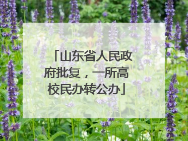 山东省人民政府批复，一所高校民办转公办
