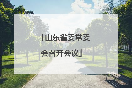 山东省委常委会召开会议