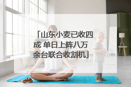 山东小麦已收四成 单日上阵八万余台联合收割机