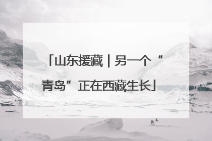 山东援藏｜另一个“青岛”正在西藏生长