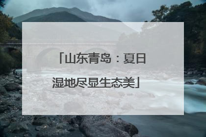 山东青岛：夏日湿地尽显生态美