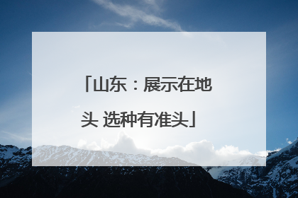 山东：展示在地头 选种有准头