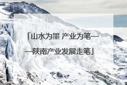 山水为墨 产业为笔——陕南产业发展走笔
