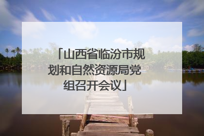山西省临汾市规划和自然资源局党组召开会议