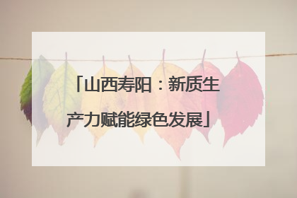 山西寿阳：新质生产力赋能绿色发展