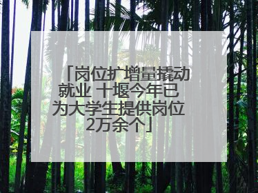 岗位扩增量撬动就业 十堰今年已为大学生提供岗位2万余个