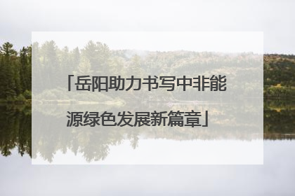 岳阳助力书写中非能源绿色发展新篇章