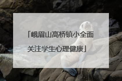 峨眉山高桥镇小全面关注学生心理健康