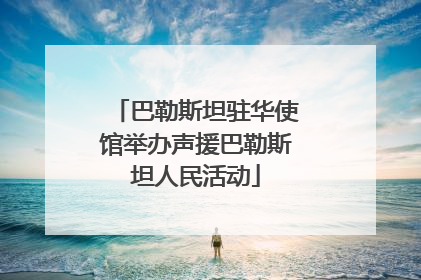 巴勒斯坦驻华使馆举办声援巴勒斯坦人民活动