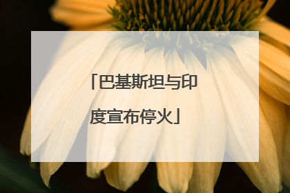 巴基斯坦与印度宣布停火