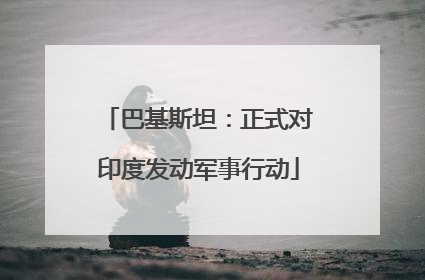 巴基斯坦：正式对印度发动军事行动