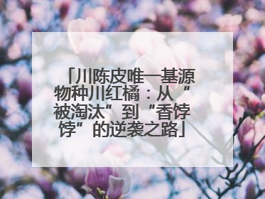 川陈皮唯一基源物种川红橘：从“被淘汰”到“香饽饽”的逆袭之路