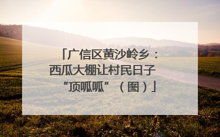 广信区黄沙岭乡：西瓜大棚让村民日子“顶呱呱”（图）