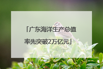 广东海洋生产总值率先突破2万亿元