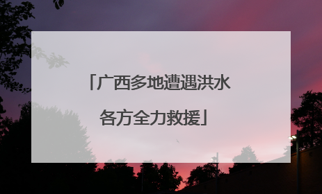 广西多地遭遇洪水 各方全力救援