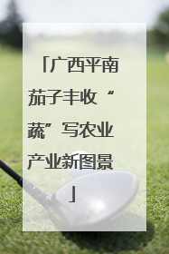 广西平南茄子丰收“蔬”写农业产业新图景