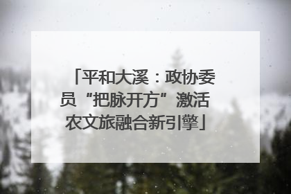 平和大溪：政协委员“把脉开方”激活农文旅融合新引擎