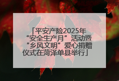平安产险2025年“安全生产月”活动暨“乡风文明”爱心捐赠仪式在菏泽单县举行
