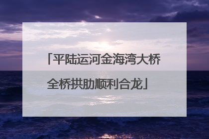 平陆运河金海湾大桥全桥拱肋顺利合龙