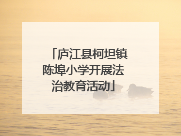 庐江县柯坦镇陈埠小学开展法治教育活动
