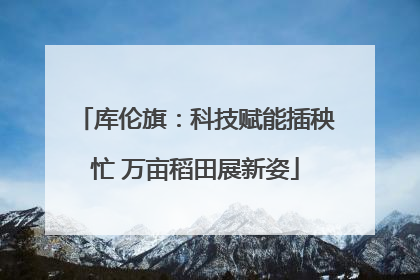 库伦旗：科技赋能插秧忙 万亩稻田展新姿