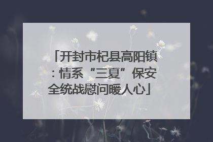 开封市杞县高阳镇：情系“三夏”保安全统战慰问暖人心