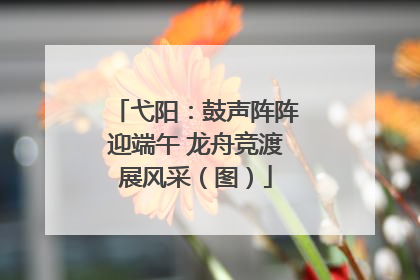 弋阳：鼓声阵阵迎端午 龙舟竞渡展风采（图）