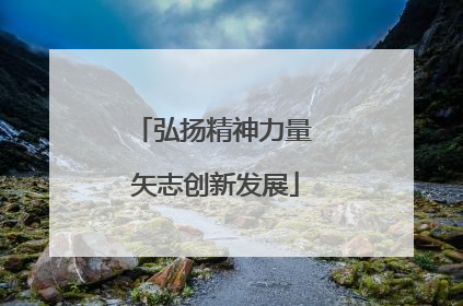 弘扬精神力量 矢志创新发展