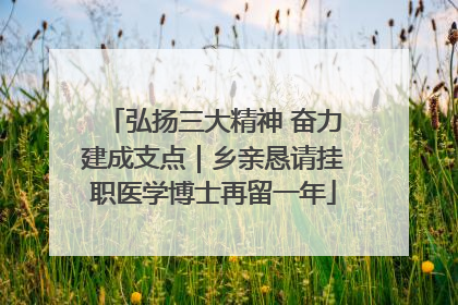 弘扬三大精神 奋力建成支点｜乡亲恳请挂职医学博士再留一年