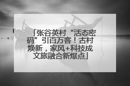 张谷英村“活态密码”引百万客！古村焕新，家风+科技成文旅融合新爆点