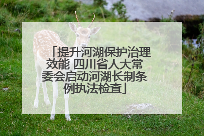 提升河湖保护治理效能 四川省人大常委会启动河湖长制条例执法检查