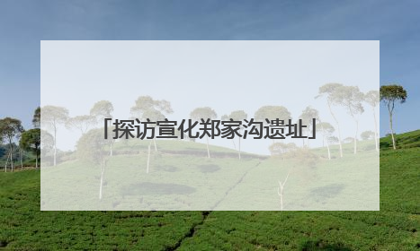 探访宣化郑家沟遗址