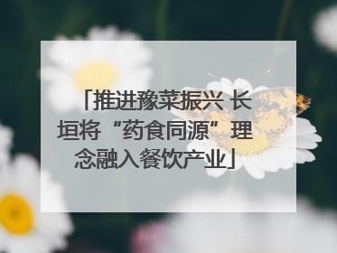 推进豫菜振兴 长垣将“药食同源”理念融入餐饮产业