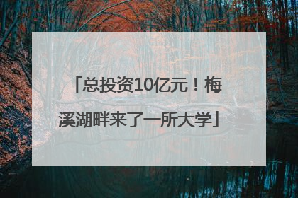 总投资10亿元！梅溪湖畔来了一所大学