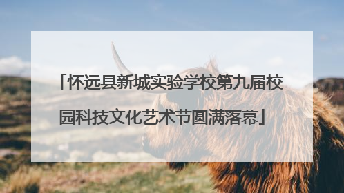 怀远县新城实验学校第九届校园科技文化艺术节圆满落幕