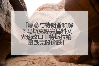 愿意与特朗普和解？马斯克爆完猛料又光速改口！特斯拉销量跌完股价跌