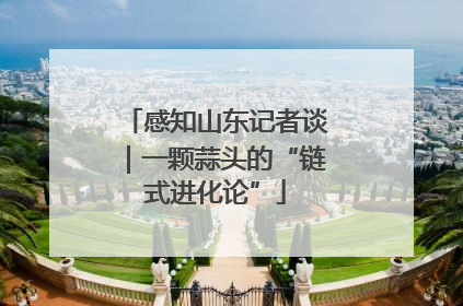 感知山东记者谈｜一颗蒜头的“链式进化论”