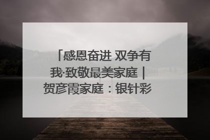 感恩奋进 双争有我·致敬最美家庭｜贺彦霞家庭：银针彩线绣出好日子