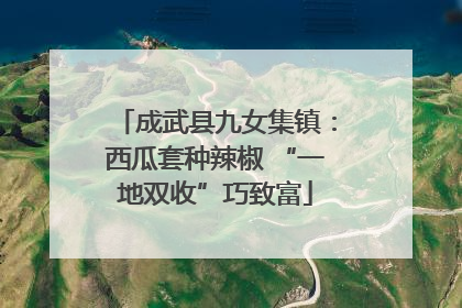 成武县九女集镇：西瓜套种辣椒 “一地双收”巧致富