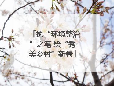 执“环境整治”之笔 绘“秀美乡村”新卷