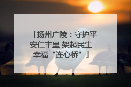 扬州广陵：守护平安仁丰里 架起民生幸福“连心桥”