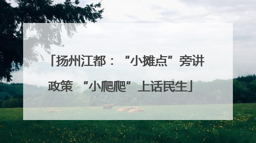 扬州江都：“小摊点”旁讲政策 “小爬爬”上话民生