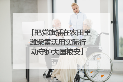 把党旗插在农田里 潍柴雷沃用实际行动守护大国粮安