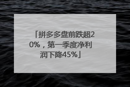 拼多多盘前跌超20%，第一季度净利润下降45%