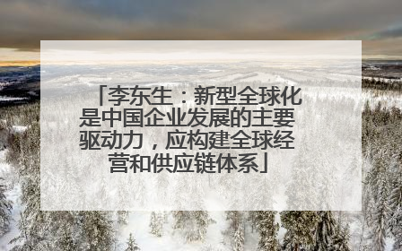 李东生：新型全球化是中国企业发展的主要驱动力，应构建全球经营和供应链体系