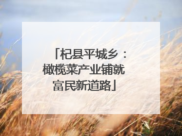 杞县平城乡：橄榄菜产业铺就富民新道路