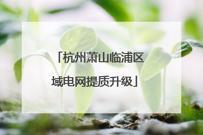 杭州萧山临浦区域电网提质升级